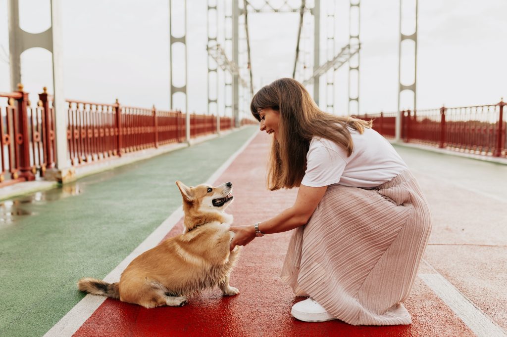 Hunde-Liv Hundetræner København